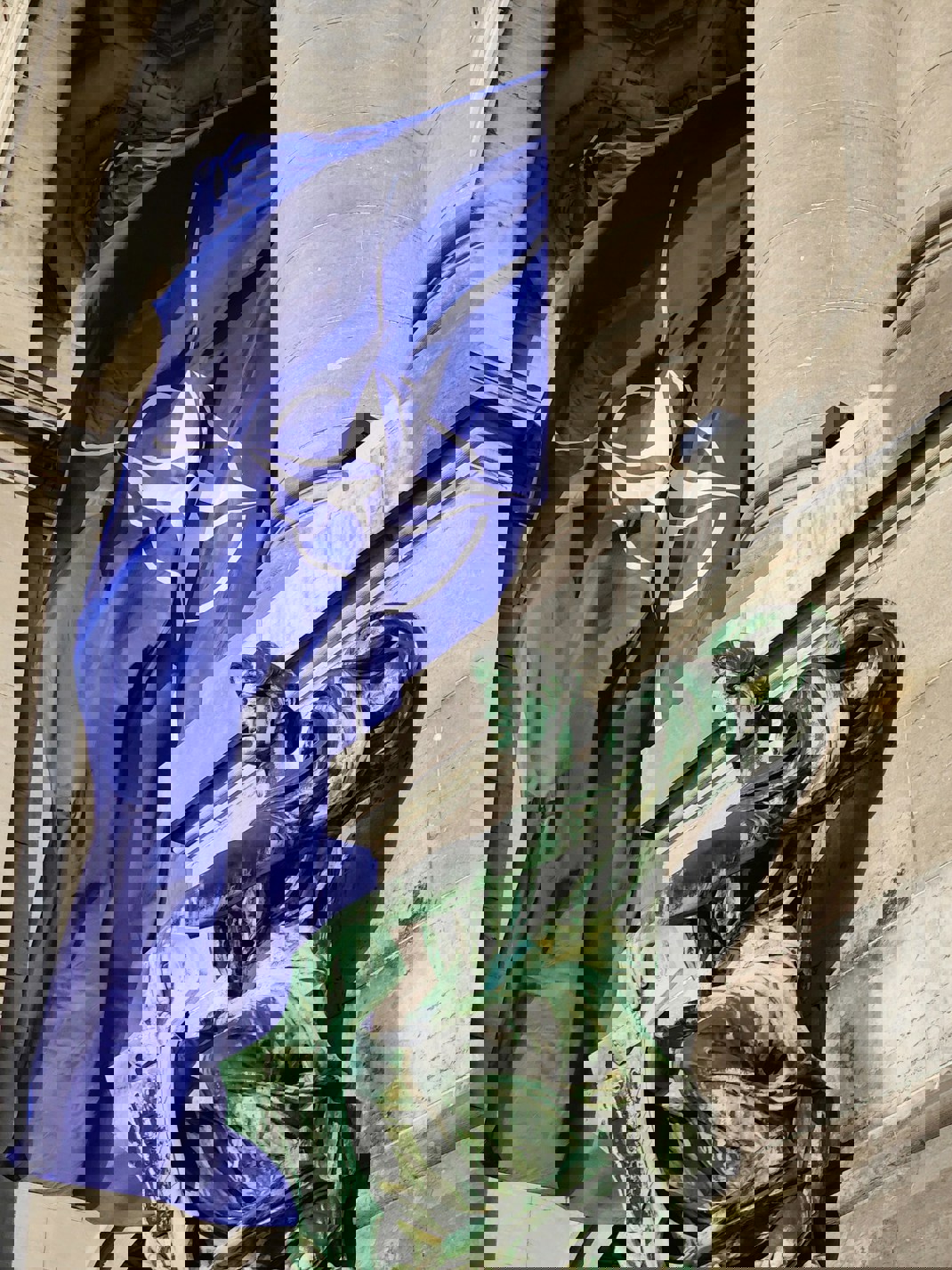 Jannik Qich6ulf3 0 Unsplash