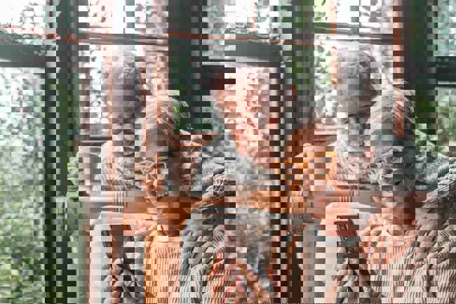 Adobestock 466163418 Min