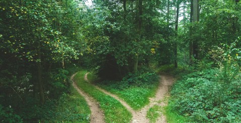 jens-lelie-u0vgcIOQG08-unsplash.jpg