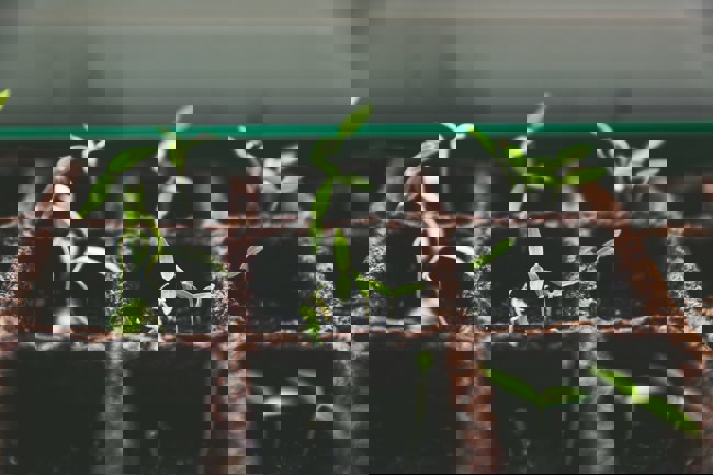 How to plan your finances effectively for the new tax year