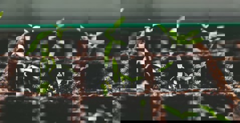 How to plan your finances effectively for the new tax year